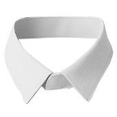 Collar Style 1