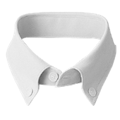 Collar Style 4